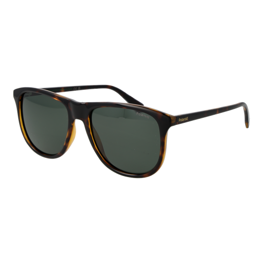 Polaroid Panto Sunglasses Brown (24002028) Men