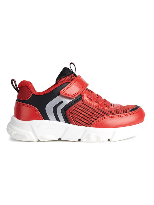 Geox Sneaker "Aril" Men