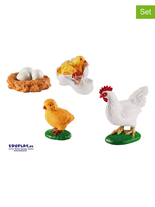 Eduplay Experiment Set "Lebenszyklen Huhn" from 3 years Kids