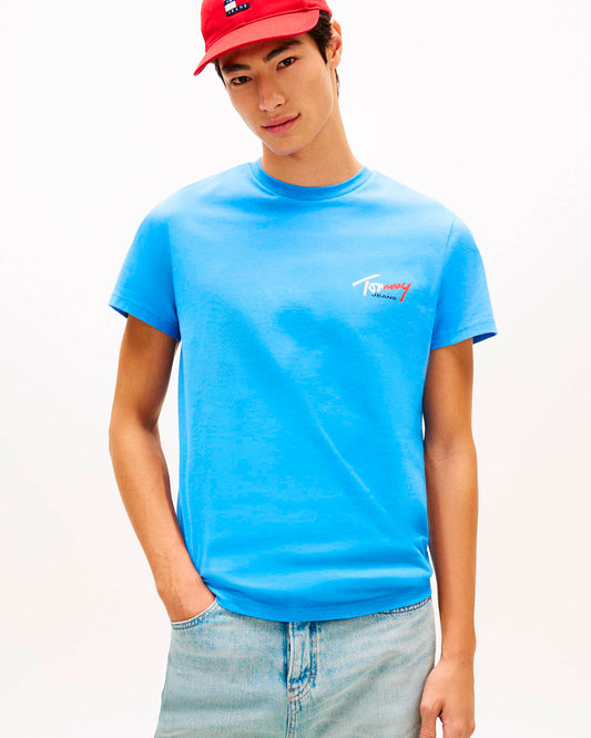Tommy Hilfiger T-Shirt (DM0DM22538) Men
