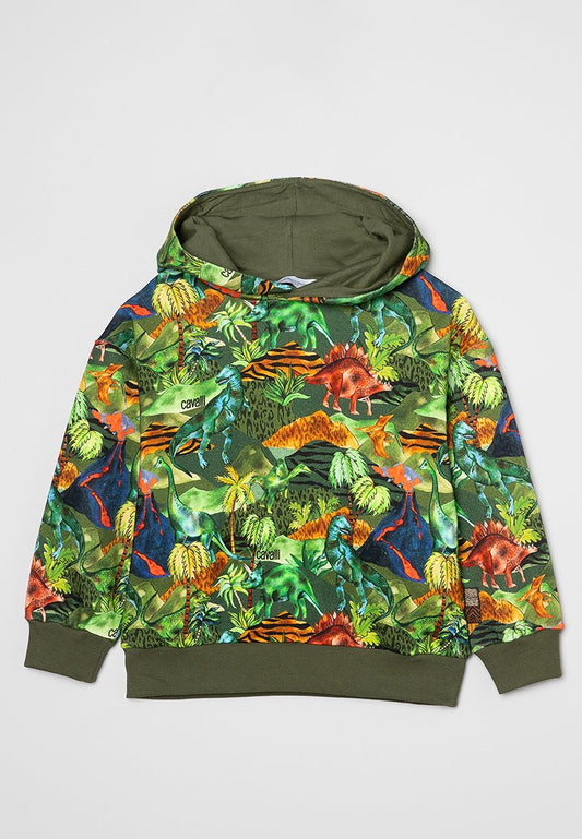 Roberto Cavalli Junior Boy Hoodie fleece multi-coloured (ZZO1Y6MBZ-T00) Kids