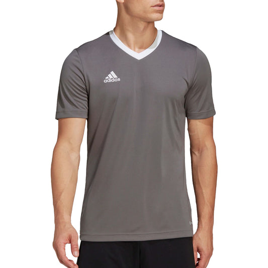 Adidas Entrada 22 SS Shirt Grey / White (HE1574-) Men