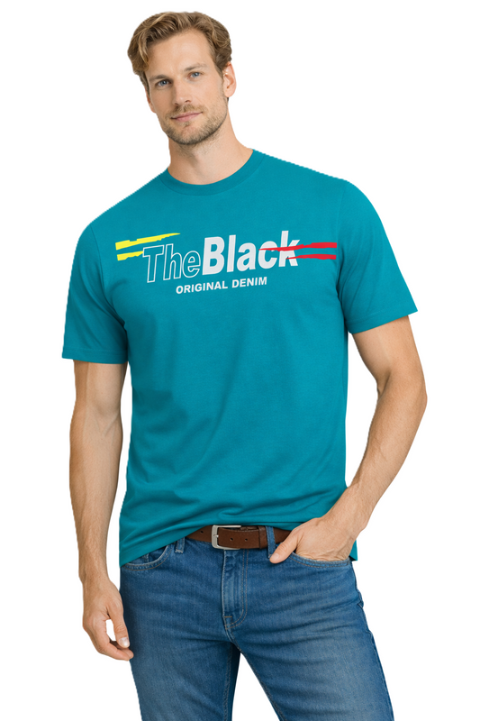 JUMPER T-SHIRT T-shirt Men's Turquoise (9153) Men