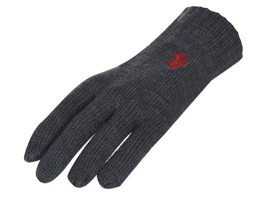 U.S. Polo Assn. Gloves NOAH (4729) Men